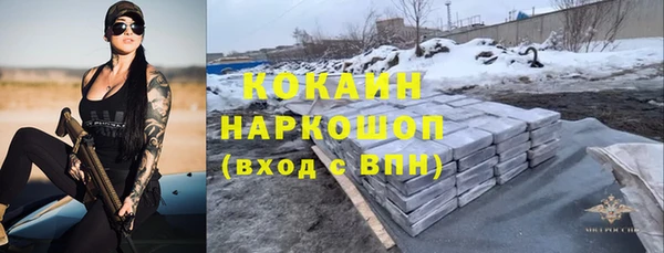 стафф Кодинск