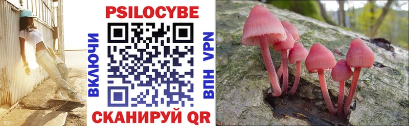 Псилоцибиновые грибы Magic Shrooms  Волгореченск 